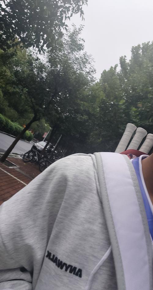 年赢得了法